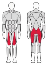 Машина Смита Fitex Pro FTX-61F33