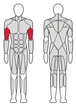 Парта Скотта (регулируемая) Fitex Pro FTX-82047