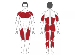 Steel Flex M3DSM Машина Смита 3D